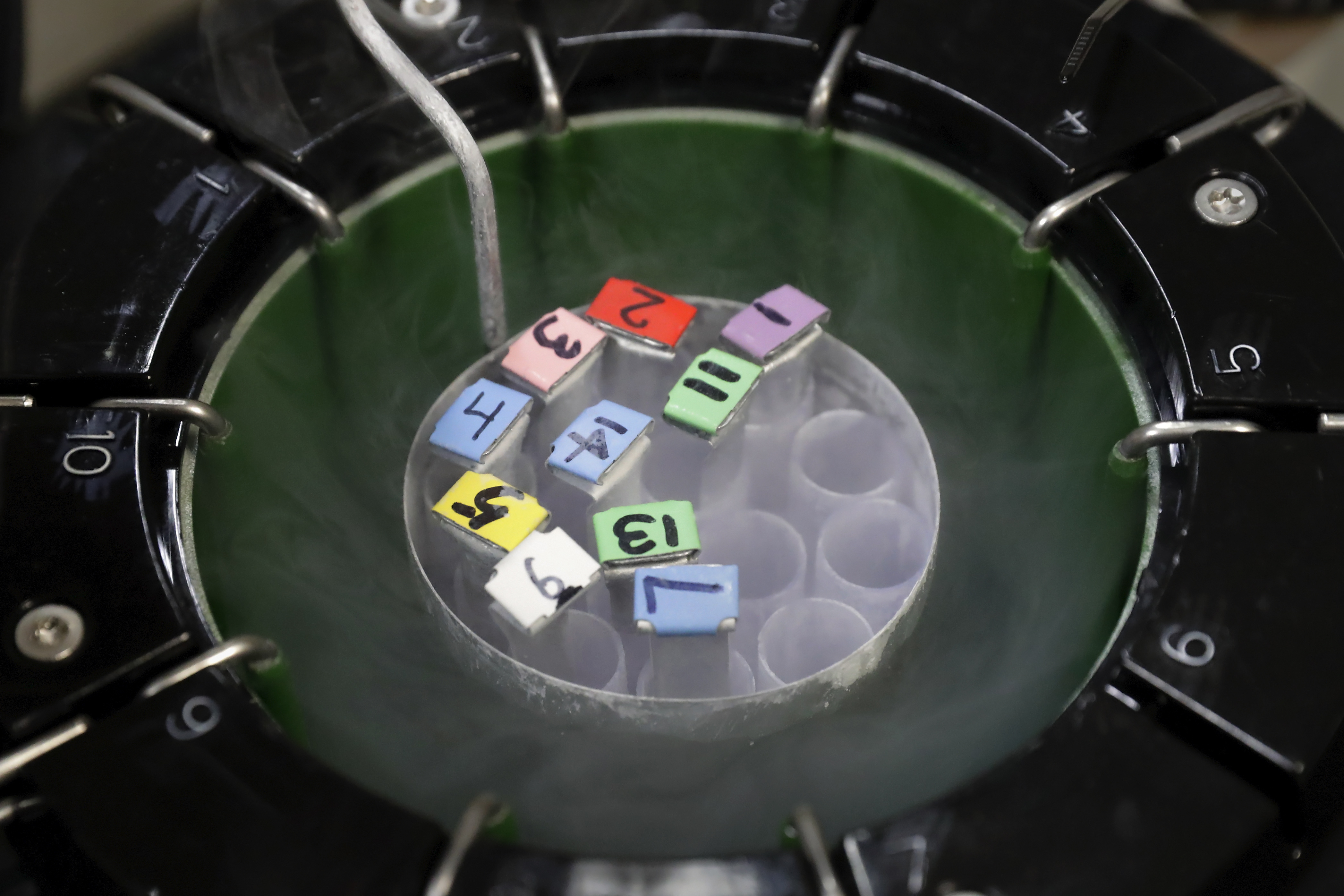 Some egg samples inside a smaller cryo storage container at the Aspire Houston Fertility Institute in Houston