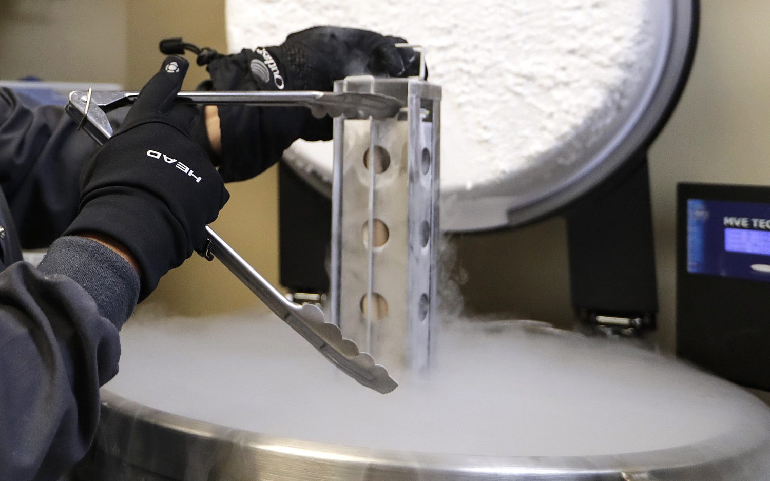 Left in the cold: The unsupervised world of embryo freezing
