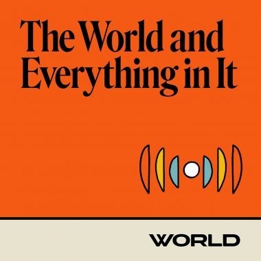 WORLD Podcast Cover World Everything