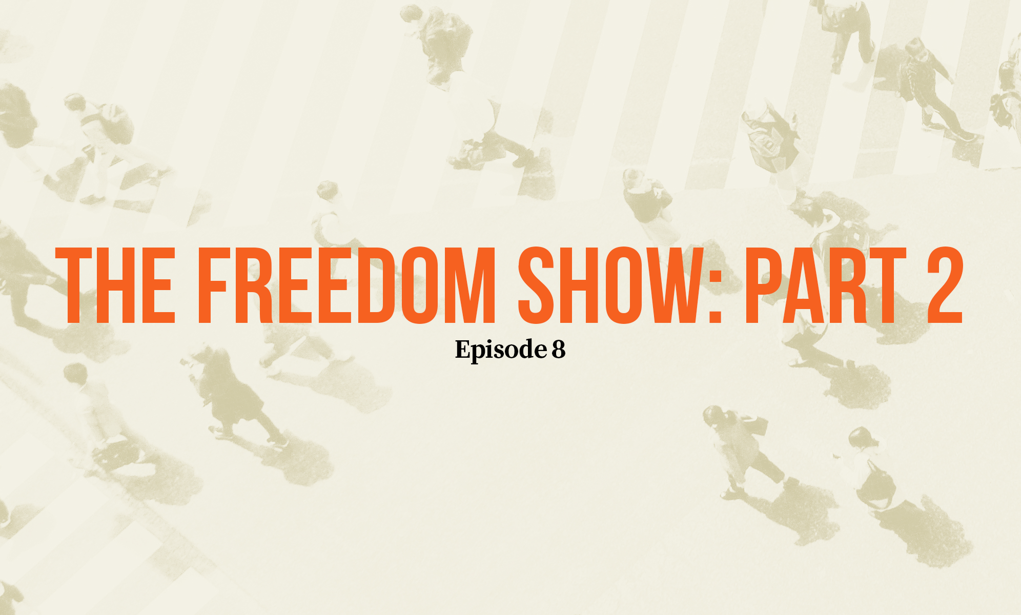 Episode 8